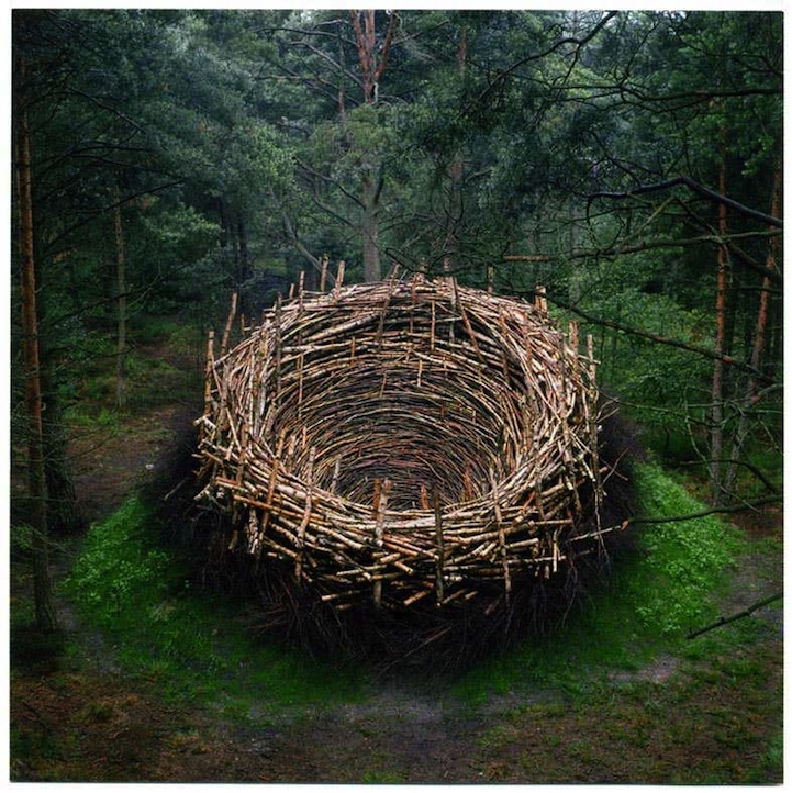 Twenty unforgettable pieces of land art. Nest by Nils-Udo