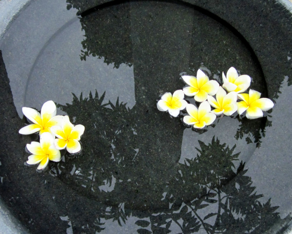 Floating blossoms in a marble bowl in the garden of the Muang Kulaypan, Samui. Photo: the art resort.