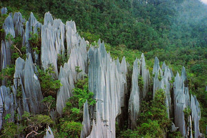 The Pinnacles of Gunung Mulu