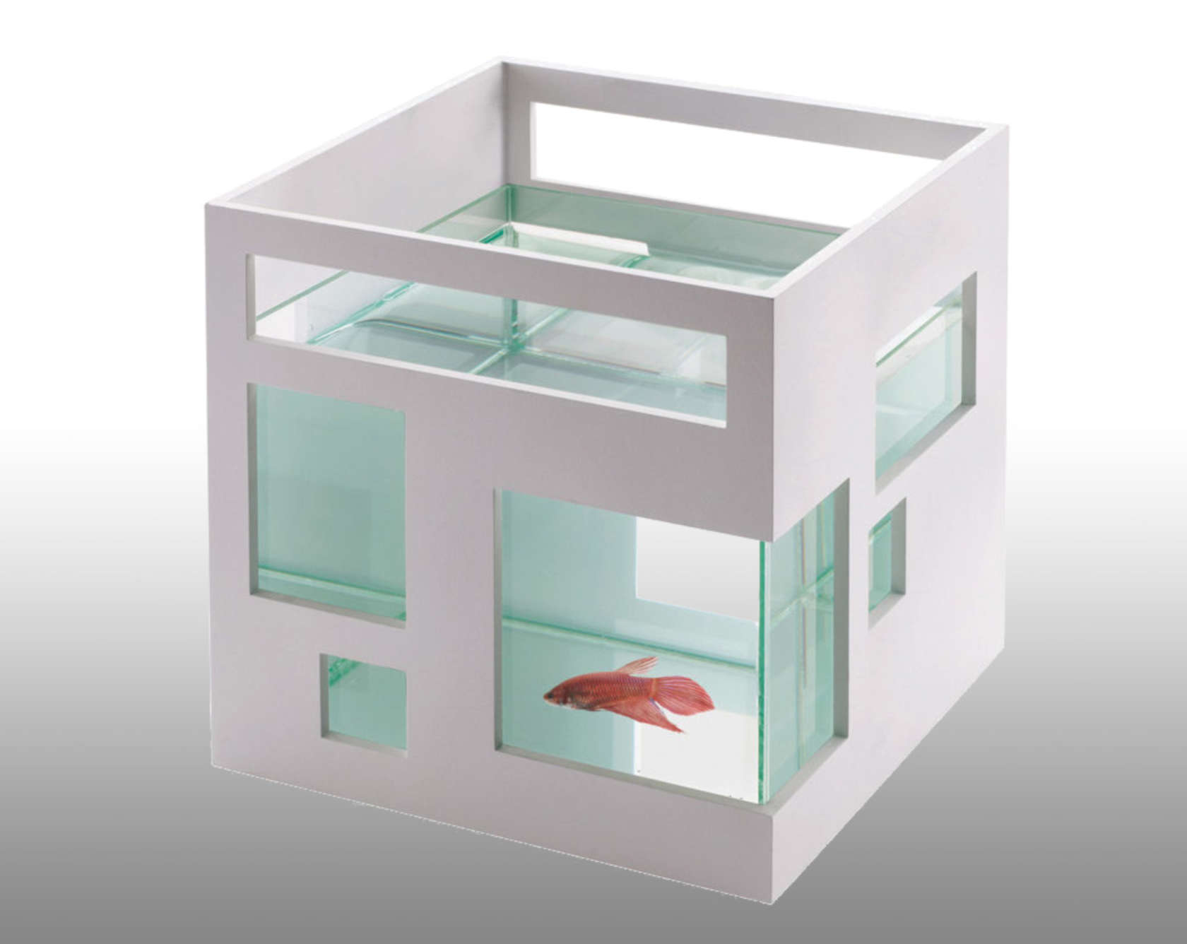Umbra Fish Hotel Fish Bowl  This fish bowl was modeled after a "contemporary condominium," with sleek white walls and asymmetrical windows. Image SkyMall