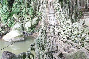 Jembatan Akar