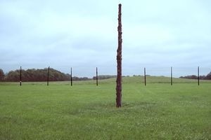 Illinois Woodhenge