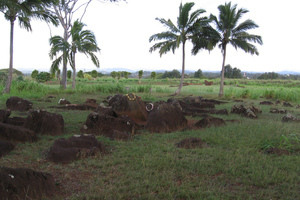 Kukaniloko Birthing Site