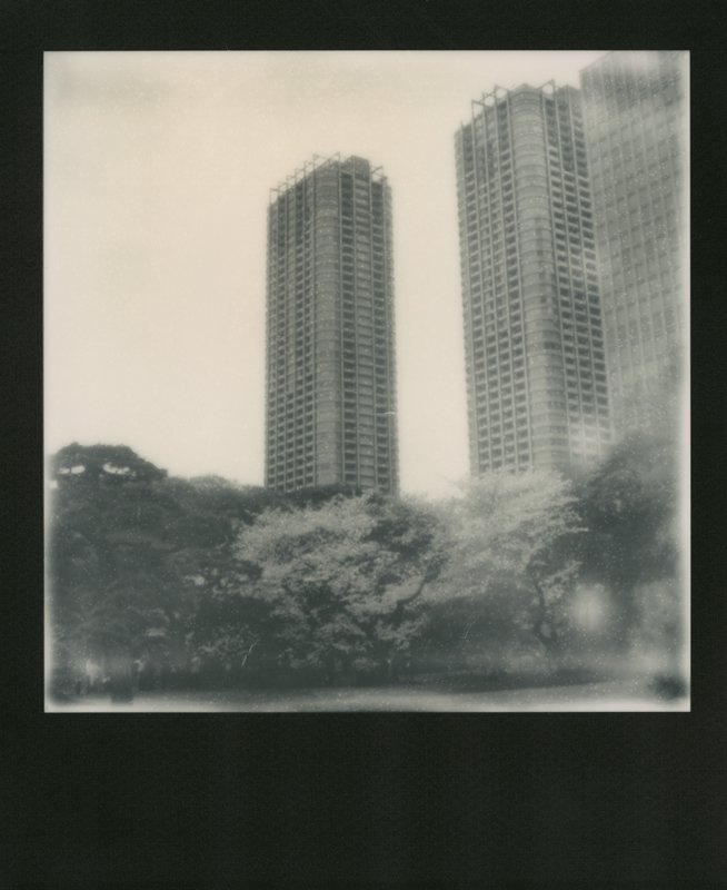 Nobuyoshi Araki | Sakura polaroids | Hanami in Tokyo